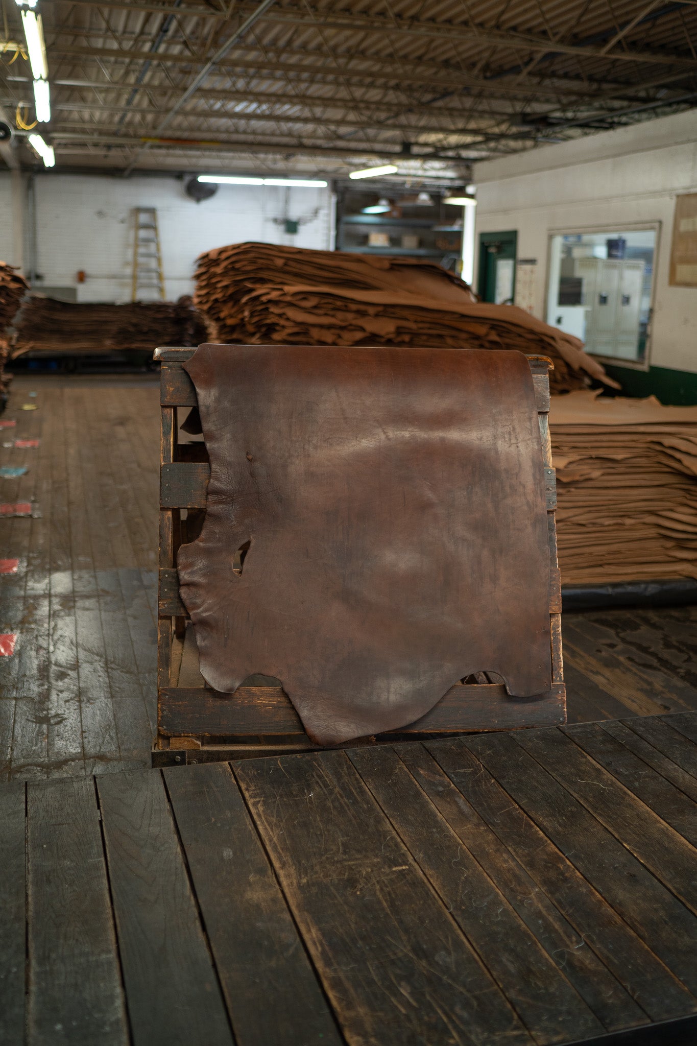 Chocolate Harness Leather from Hermann Oak Leather Co displayed on a wooden rack